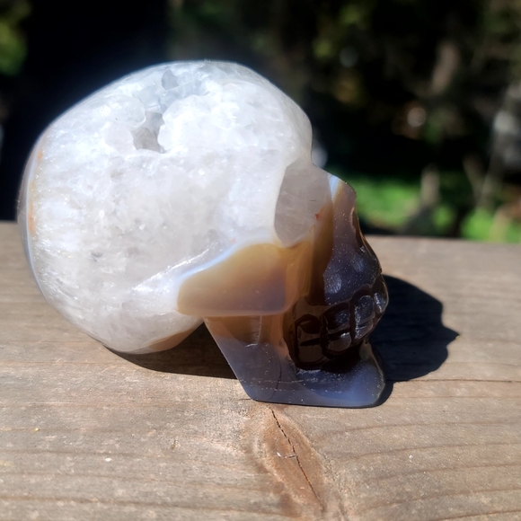 INCREDIBLE Smokey Quartz handcarved drutzy Agate Skull sz medium - Picture 6 of 10